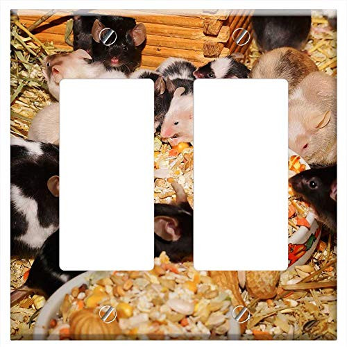 Switch Plate Double Rocker-GFCI - Mice FarbmAuse Cute Sweet Tame Kulleraugen 1 Switch Plate Double Rocker-GFCI - Mice FarbmAuse Cute Sweet Tame Kulleraugen 1