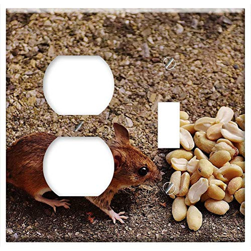 2-Gang Outlet Toggle Combination Wall Plate Cover - Mouse Rodent Cute Mammal Nager Nature Animal 18 2-Gang Outlet Toggle Combination Wall Plate Cover - Mouse Rodent Cute Mammal Nager Nature Animal 18