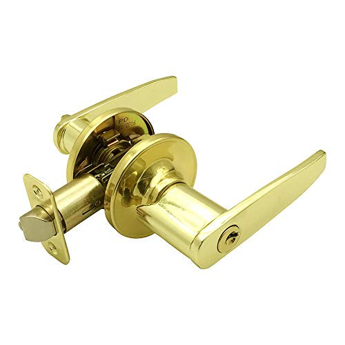 Design House 787499 Delavan Entry Lever Polished Brass