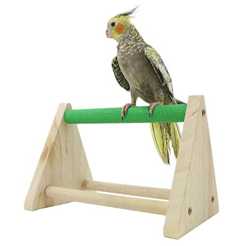 YINGGE Parrots Playstand Bird Playground Wood Perch Gym Stand Exercise Playgym for Conure LovebirdsTable Playstand for Small Cockatiels