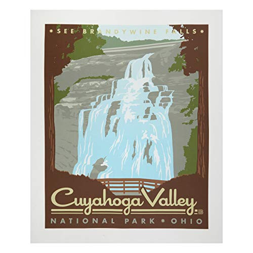 Riley Blake Designs Riley Blake National Parks Cuyahoga 36'' Panel Fabric Multi