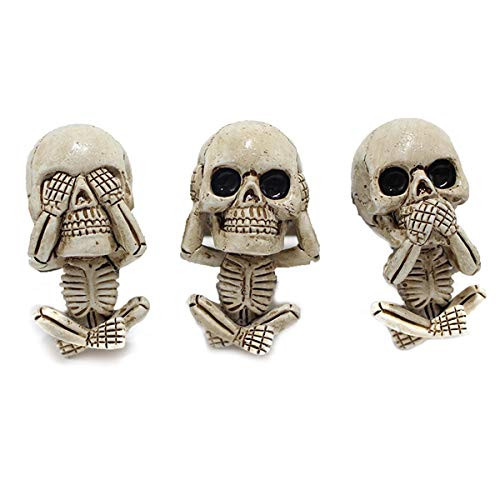 TAIYANYU Hear no Evil See no Evil Speak no Evil Skulls Trio Statue for car Vent Clips with air freshener See Hear Speak no Evil Skulls -3PCS- TAIYANYU Hear no Evil See no Evil Speak no Evil Skulls Trio Statue for car Vent Clips with air freshener See Hear Speak no Evil Skulls -3PCS-