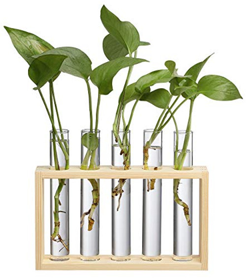 Yistao Wall Hanging Glass Planter Propagation Station 5 Test Tube Planter Propagation Tubes Tabletop Plant Terrarium with Wooden Stand for Propagating Hydroponic Plants Home Office Décor Yistao Wall Hanging Glass Planter Propagation Station 5 Test Tube Planter Propagation Tubes Tabletop Plant Terrarium with Wooden Stand for Propagating Hydroponic Plants Home Office Décor