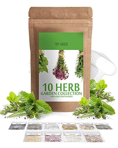 Herb Seeds Vault -10 Variety - 3000 Seeds-- Heirloom Non GMO - Herbs Seeds for Planting for Indoor and Outdoor - Herb Garden Seed Pack - Thyme Mint Chives Dill Cilantro Parsley Basil Marjoram