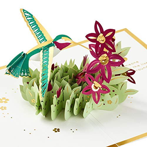 Hallmark Signature Paper Wonder Pop Up Mothers Day Card -Hummingbird-