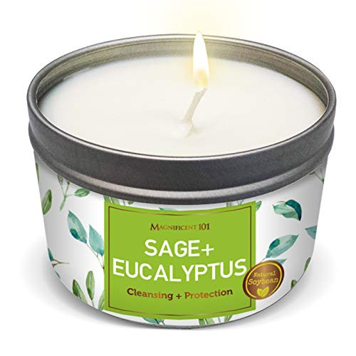 SAGE plus Eucalyptus Aromatherapy Candle for House Energy Cleansing and Protection Vibes Banishes Negative Energy I Purification and Chakra Healing - Natural Soy Wax Tin Candle for Aromatherapy 6oz SAGE plus Eucalyptus Aromatherapy Candle for House Energy Cleansing and Protection Vibes Banishes Negative Energy I Purification and Chakra Healing - Natural Soy Wax Tin Candle for Aromatherapy 6oz