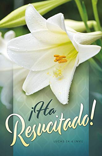 Easter Bulletin -"Ha Resucitado!" -He has Risen!-- NVI - -Package of 100-