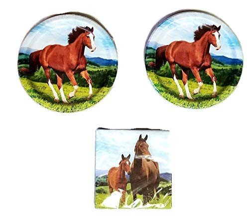 Horse and Pony Party Bundle 9" Plates (16) Napkins (16)