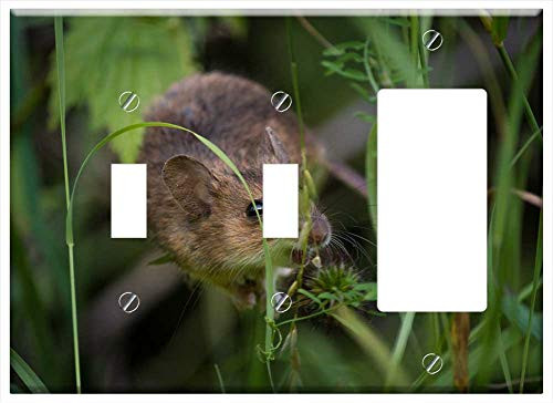 3-Gang 2-Toggle 1-Rocker-GFCI Combination Wall Plate Cover - Mouse Close Fur Nager Mice Rodents Button Eyes 1 3-Gang 2-Toggle 1-Rocker-GFCI Combination Wall Plate Cover - Mouse Close Fur Nager Mice Rodents Button Eyes 1