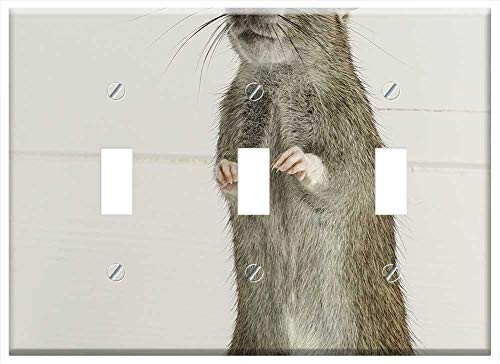 Switch Plate Triple Toggle - Rodent Mammals Rat Mouse Animals Cute Fur Hair Switch Plate Triple Toggle - Rodent Mammals Rat Mouse Animals Cute Fur Hair