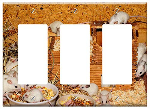 Switch Plate Triple Rocker-GFCI - Mice Mastomys Cute Rodents Close Fur Sweet Nager Switch Plate Triple Rocker-GFCI - Mice Mastomys Cute Rodents Close Fur Sweet Nager