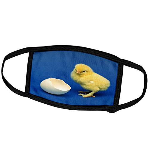 3dRose Face Mask Large Baby Chick bird-NA02 DFR0041-David R. Frazier
