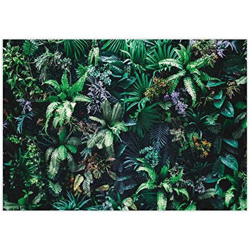Allenjoy 7x5FT Summer Tropical Jungle Leaves Photography Backdrop Green Palm Plant Summer Aloha Wild Themed Birthday Party Background Baby Shower Decorations Photo Portrait Booth Props