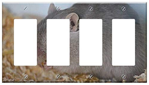 Switch Plate 4 Gang Rocker-GFCI - Gerbil Rennratte Mouse Rat Muridae Nager Switch Plate 4 Gang Rocker-GFCI - Gerbil Rennratte Mouse Rat Muridae Nager