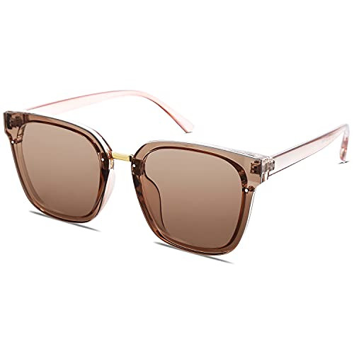 SOJOS Oversized Trendy Square Sunglasses Fashion Shades for Women Doris SJ2116 with Clear Brown Frame-Clear Brown Lens