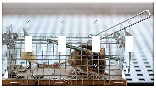 Switch Plate 4 Gang Toggle - Mouse Mousetrap Case Nager Animal Caught Rodent Switch Plate 4 Gang Toggle - Mouse Mousetrap Case Nager Animal Caught Rodent