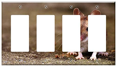 Switch Plate 4 Gang Rocker-GFCI - Mouse Rodent Cute Mammal Nager Nature Animal 15 Switch Plate 4 Gang Rocker-GFCI - Mouse Rodent Cute Mammal Nager Nature Animal 15