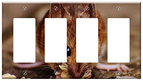 Switch Plate 4 Gang Rocker-GFCI - Mouse Rodent Cute Mammal Nager Nature Animal 23 Switch Plate 4 Gang Rocker-GFCI - Mouse Rodent Cute Mammal Nager Nature Animal 23