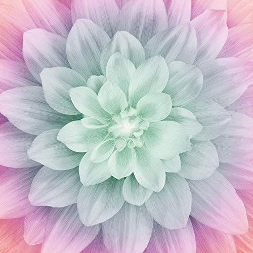 Hoffman Digital Dream Big Floral 43in Panel Pastel Quilt Fabric
