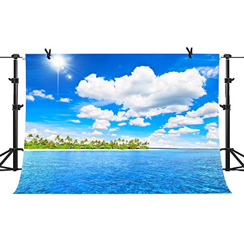 PHMOJEN Tropical Blue Sea Sky White Clouds Photography Backdrop Amazing Sunny Beach Background Vinyl 7x5ft YouTube Photo Backdrop Props LXPH035