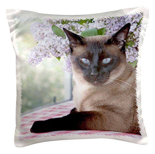 3dRose Siamese cat on tablecloth with lilacs - NA02 PWO0102 - PiperAnne Worcester - Pillow Case 16 by 16-inch -pc_140344_1- 3dRose Siamese cat on tablecloth with lilacs - NA02 PWO0102 - PiperAnne Worcester - Pillow Case 16 by 16-inch -pc_140344_1-