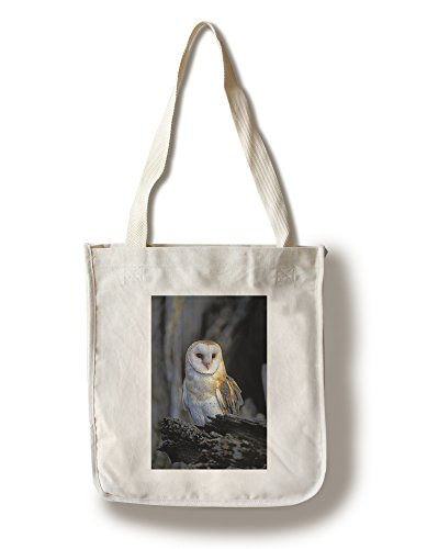 Lantern Press Barn Owl 49422 -100 percent Cotton Tote Bag Reusable-