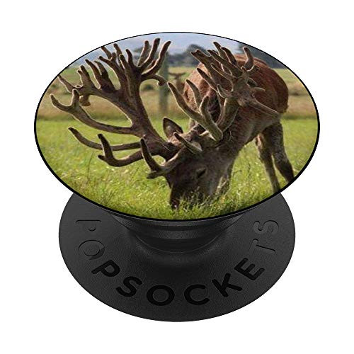 Deer with Massive Rack PopSockets PopGrip- Swappable Grip for Phones  and  Tablets