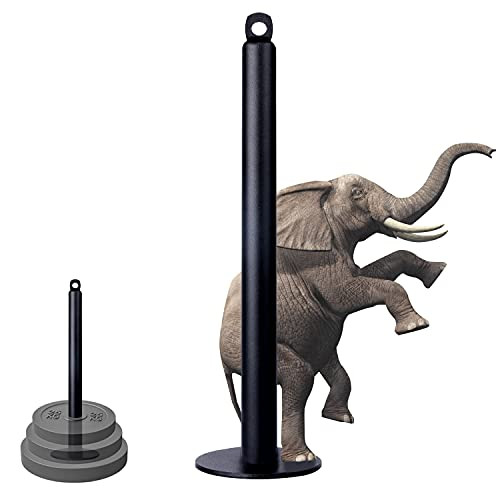 Loading Pin for Weight Plates - Fitness LAT Cable Pulley System Attachment for Arm Biceps Triceps Blaster Hand Strength Training Home Gym Workout Equipment Loading Pin for Weight Plates - Fitness LAT Cable Pulley System Attachment for Arm Biceps Triceps Blaster Hand Strength Training Home Gym Workout Equipment