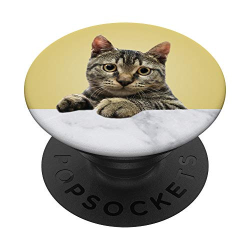 Hungry Cat Kitty Yellow Cat Peekaboo Looking Cat Cute PopSockets Grip and Stand for Phones and Tablets Hungry Cat Kitty Yellow Cat Peekaboo Looking Cat Cute PopSockets Grip and Stand for Phones and Tablets