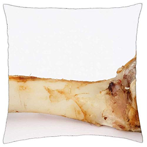 LESGAULEST Throw Pillow Cover -16x16 inch- - T Bone Gristle Animal Beef Bone Canine Chew LESGAULEST Throw Pillow Cover -16x16 inch- - T Bone Gristle Animal Beef Bone Canine Chew