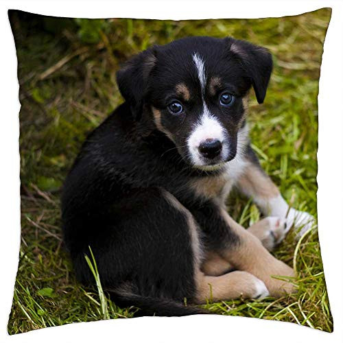 LESGAULEST Throw Pillow Cover -16x16 inch- - Puppy Dog Cute Canine Pet Garden Doggy 1 LESGAULEST Throw Pillow Cover -16x16 inch- - Puppy Dog Cute Canine Pet Garden Doggy 1