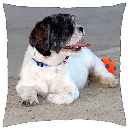 LESGAULEST Throw Pillow Cover -18x18 inch- - Dog Play Ball Pet White Black Cute 1