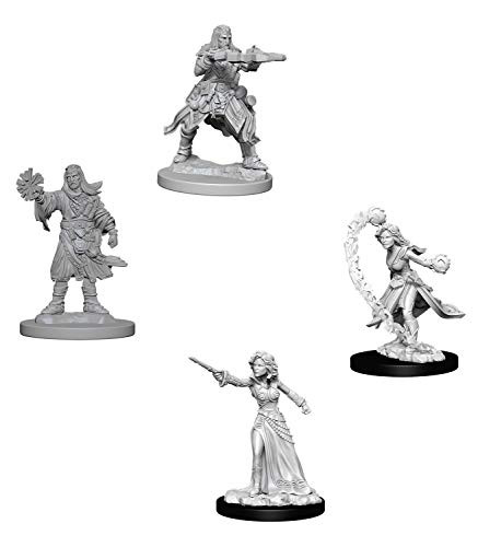 Pathfinder Battles Deep Cuts Miniatures Bundle- Human Male Wizard  and  Human Female Wizard