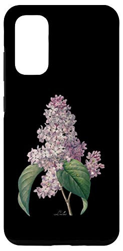 Galaxy S20 Pierre Joseph Redoute Lily Lilies Paint Flower Gardener Gift Case