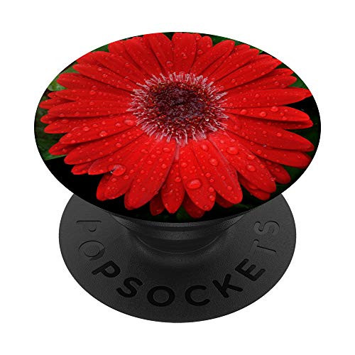 Red Gerber Daisy Flower Floral Gift PopSockets PopGrip- Swappable Grip for Phones  and  Tablets