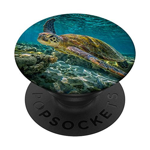 Sea Turtle Blue Ocean Cute Animal Gift PopSockets PopGrip- Swappable Grip for Phones  and  Tablets