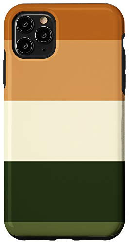 iPhone 11 Pro Max VIntage Retro Fall-Colored Striped Pattern In Green  and  Orange Case