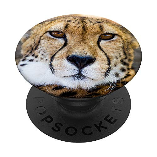 Cheetah Face Collapsible Phone Reader Tablet Grip Stand PopSockets PopGrip- Swappable Grip for Phones  and  Tablets