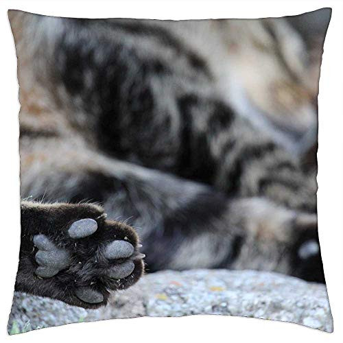 LESGAULEST Throw Pillow Cover -18x18 inch- - Cat Paw Cat Paw Print Paw
