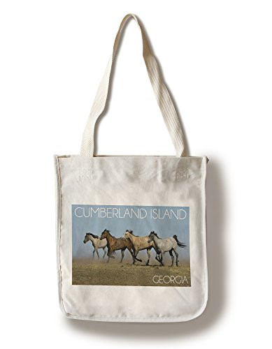Lantern Press Cumberland Island Georgia Wild Horses Running -100 percent Cotton Tote Bag Reusable-
