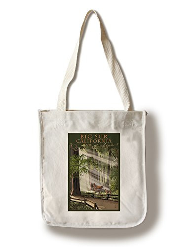 Lantern Press Big Sur California Deer and Fawn -100 percent Cotton Tote Bag Reusable-