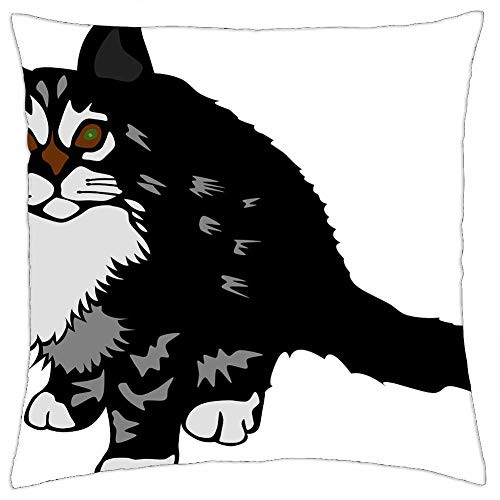 LESGAULEST Throw Pillow Cover -18x18 inch- - Kitten Cat Kitty Pet Black Furry Adorable Feline