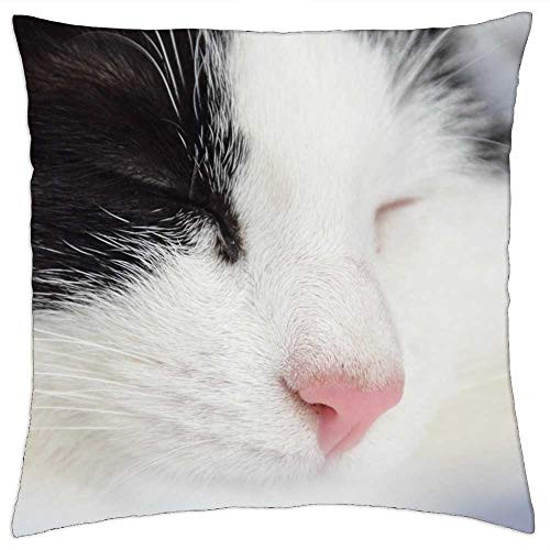 LESGAULEST Throw Pillow Cover -18x18 inch- - Cat Pet Black and White Cat Animal Paw