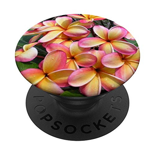 Plumeria Flower Pink Yellow Pretty PopSockets PopGrip- Swappable Grip for Phones  and  Tablets