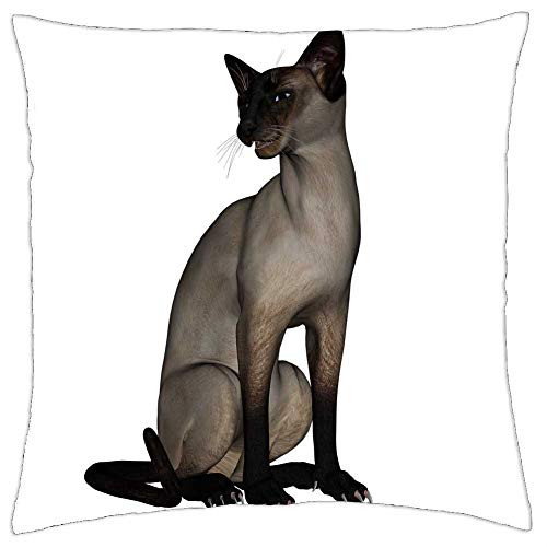 LESGAULEST Throw Pillow Cover -18x18 inch- - Cat Siamese Cat Animal Feline Kitty Kitten Pet