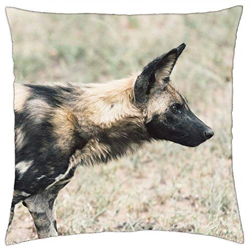 LESGAULEST Throw Pillow Cover -18x18 inch- - Dog Puppy Animal Pet Green