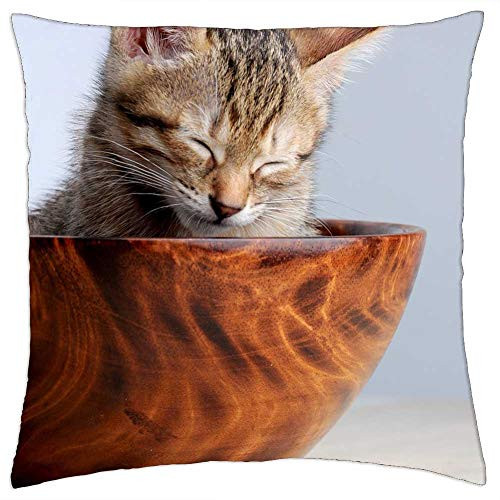 LESGAULEST Throw Pillow Cover -18x18 inch- - Pet Cat Sleeping Their Palate Doze Cat Bowl 1