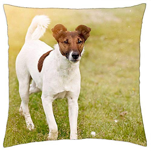 LESGAULEST Throw Pillow Cover -18x18 inch- - Dog Animal Pet Attention Meadow Nature Out