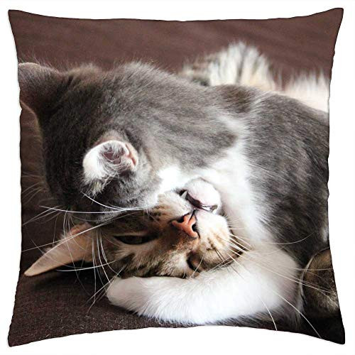LESGAULEST Throw Pillow Cover -18x18 inch- - Cat Cats Cat Nose Portrait of Cat Feline Felines LESGAULEST Throw Pillow Cover -18x18 inch- - Cat Cats Cat Nose Portrait of Cat Feline Felines