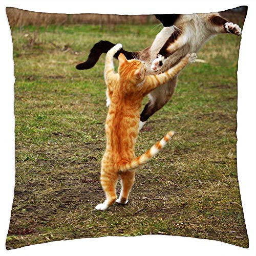 LESGAULEST Throw Pillow Cover -18x18 inch- - Cat Siamese Cat Play Red Cat Kitten 2